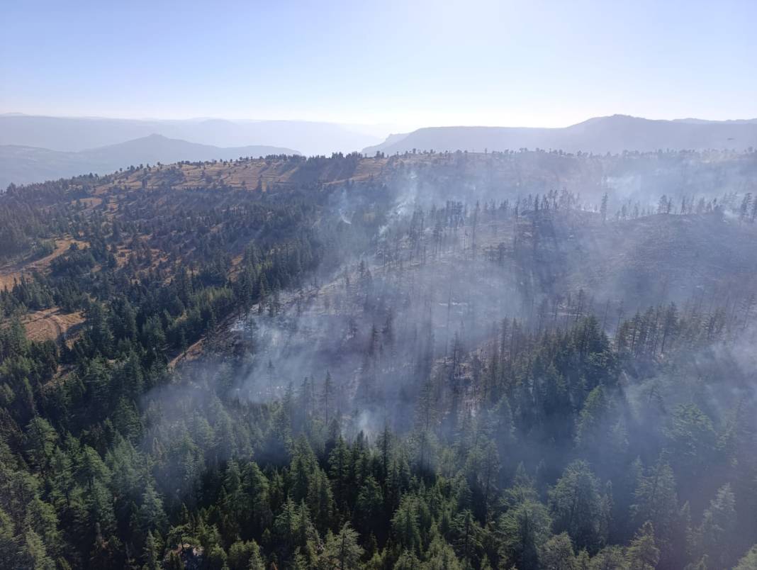Konya dahil 5 il destek verdi, Ermenek yangını kontrol altında 13